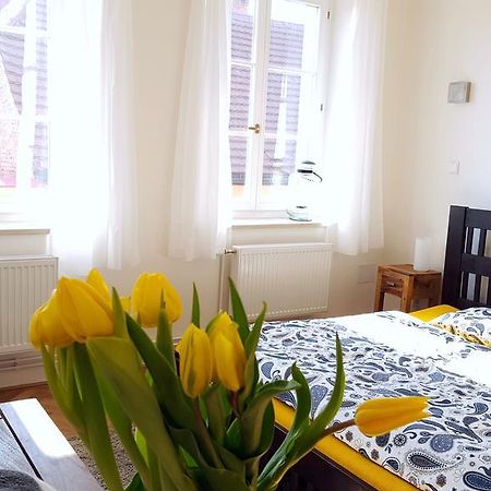 Apartmany U Namesti Броумов Екстер'єр фото